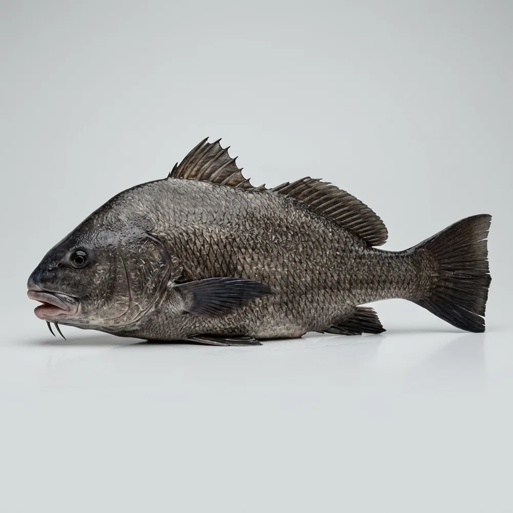Tamburo nero