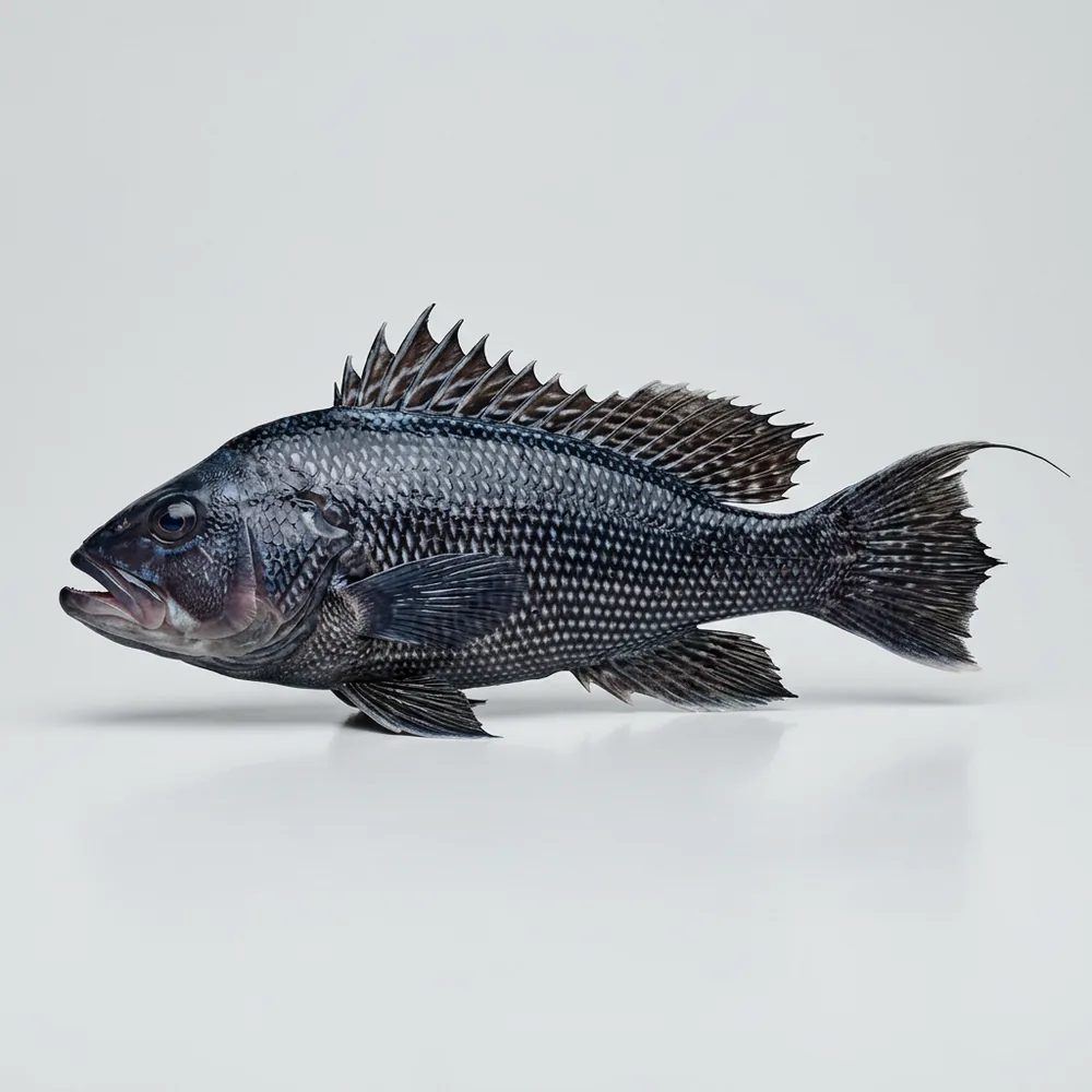 Branzino nero